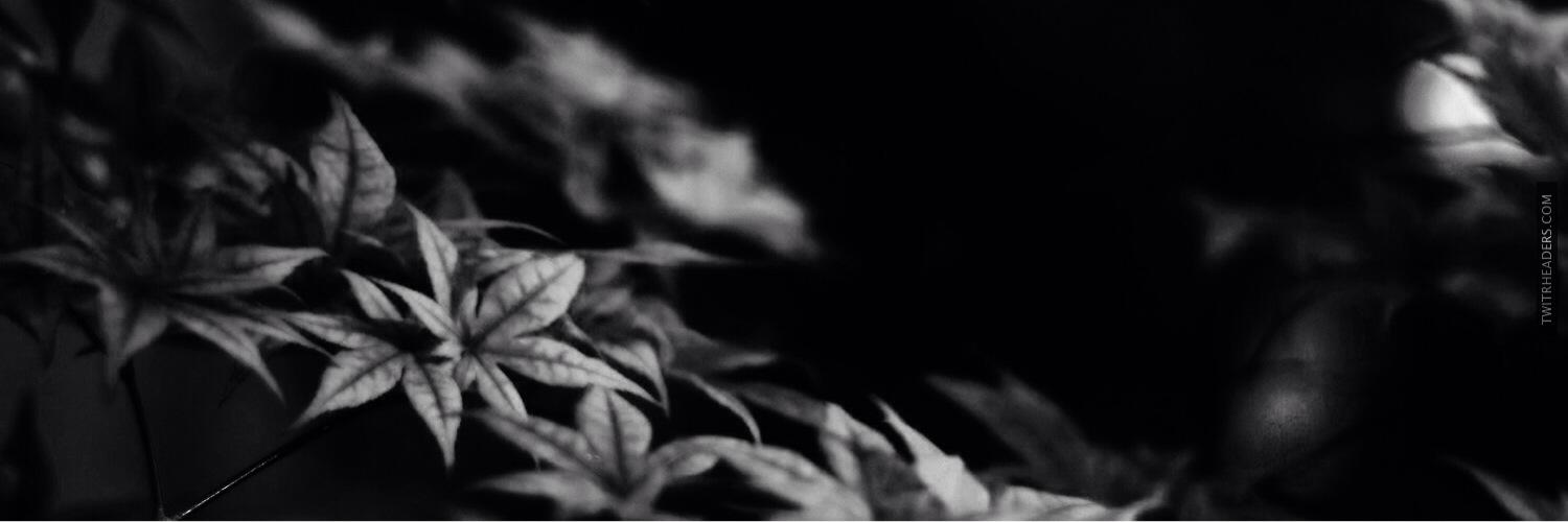 MrProcastinate's profile banner image