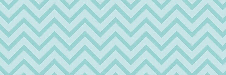 Cindy Seeley banner