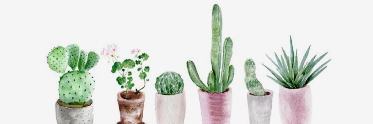 avery_willman's profile banner image