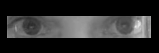 cenewfan's profile banner image