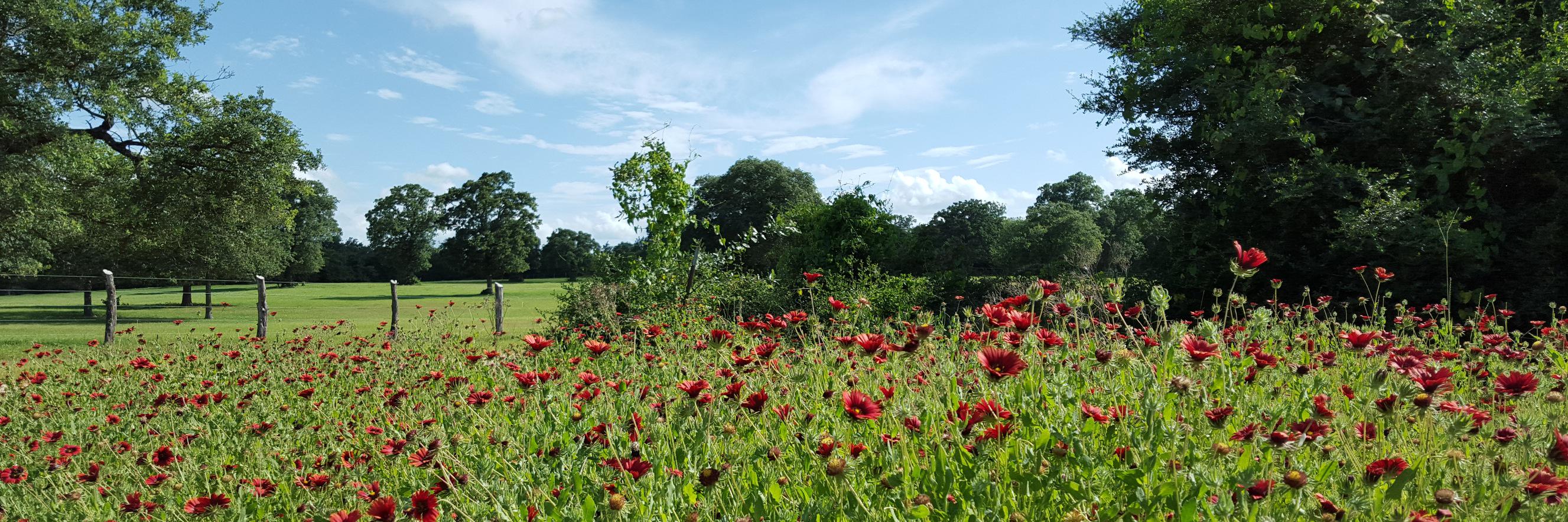 OldHatFarms's profile banner image