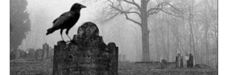 tayviars's profile banner image
