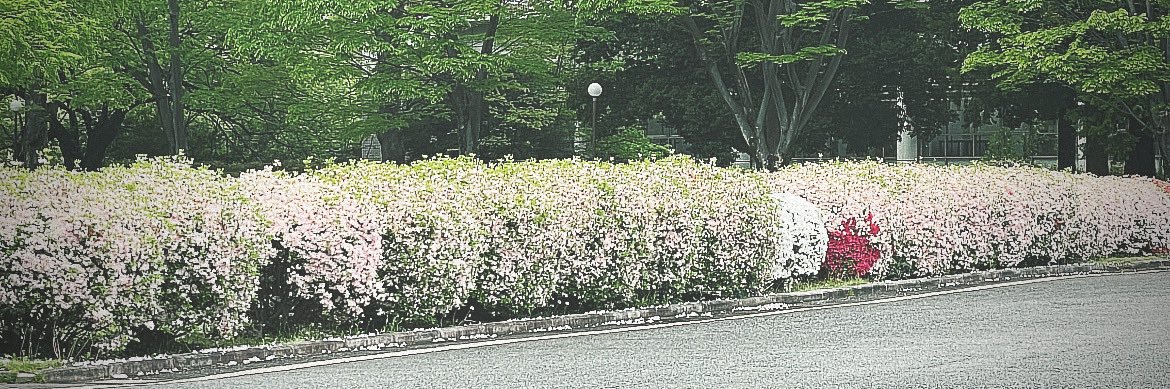 takeondo_k's profile banner image