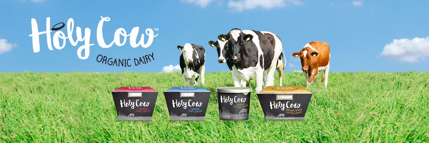 HolyOrganic's profile banner image