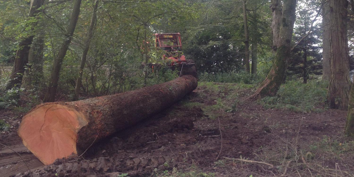 Forestry Contracting banner