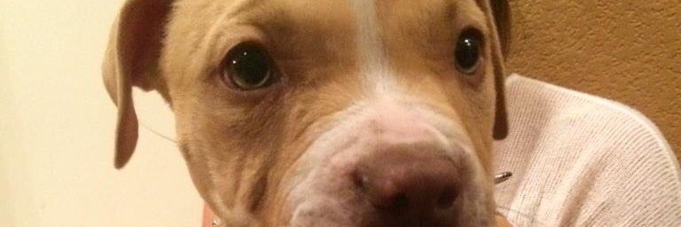 hheroy's profile banner image