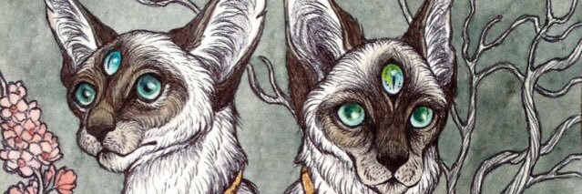 moctee's profile banner image