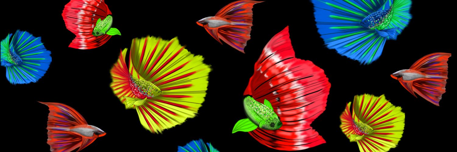 TSteinly's profile banner image