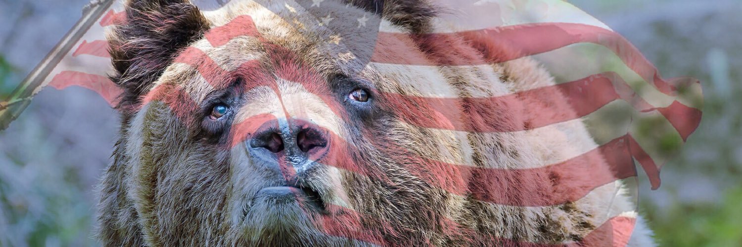 bobearldarling's profile banner image