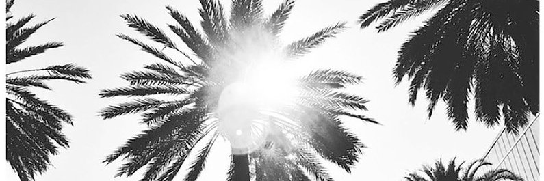 destsoe's profile banner image