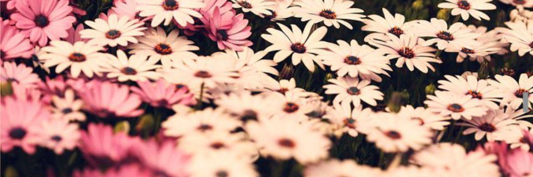 9900ss_'s profile banner image