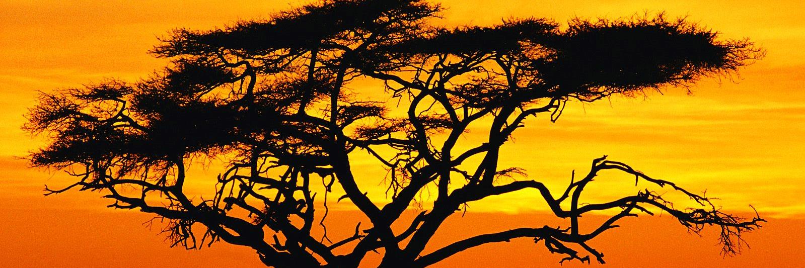 Sundance Investments banner