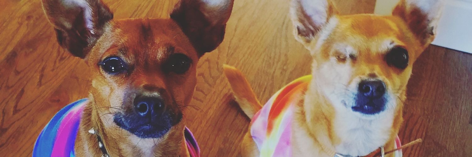 laurenmcbitch's profile banner image