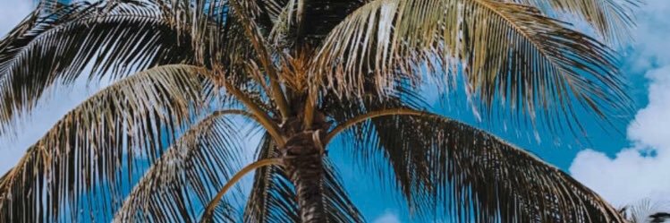 agathe2975's profile banner image