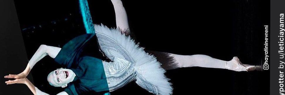 ashleyrettich's profile banner image