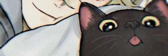 syounenika's profile banner image