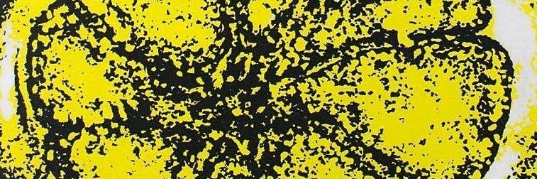 ʏᴜᴅʜᴀ ᴅ. ɴᴜɢʀᴏʜᴏ banner