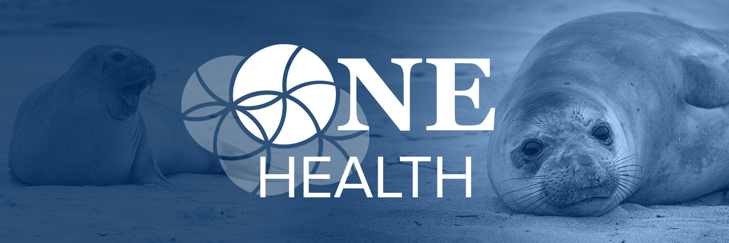 One Health Institute (OHI) banner