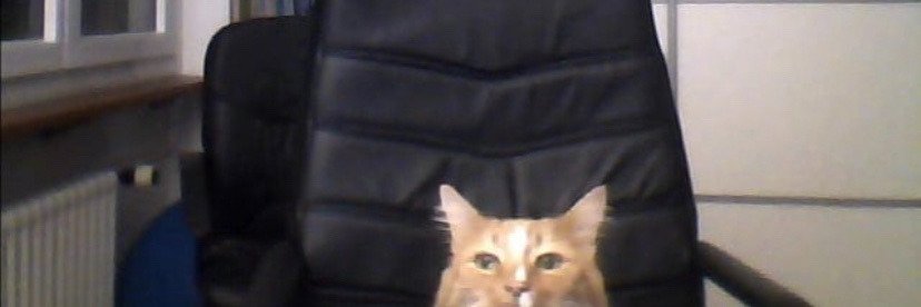 NerdBeebe's profile banner image