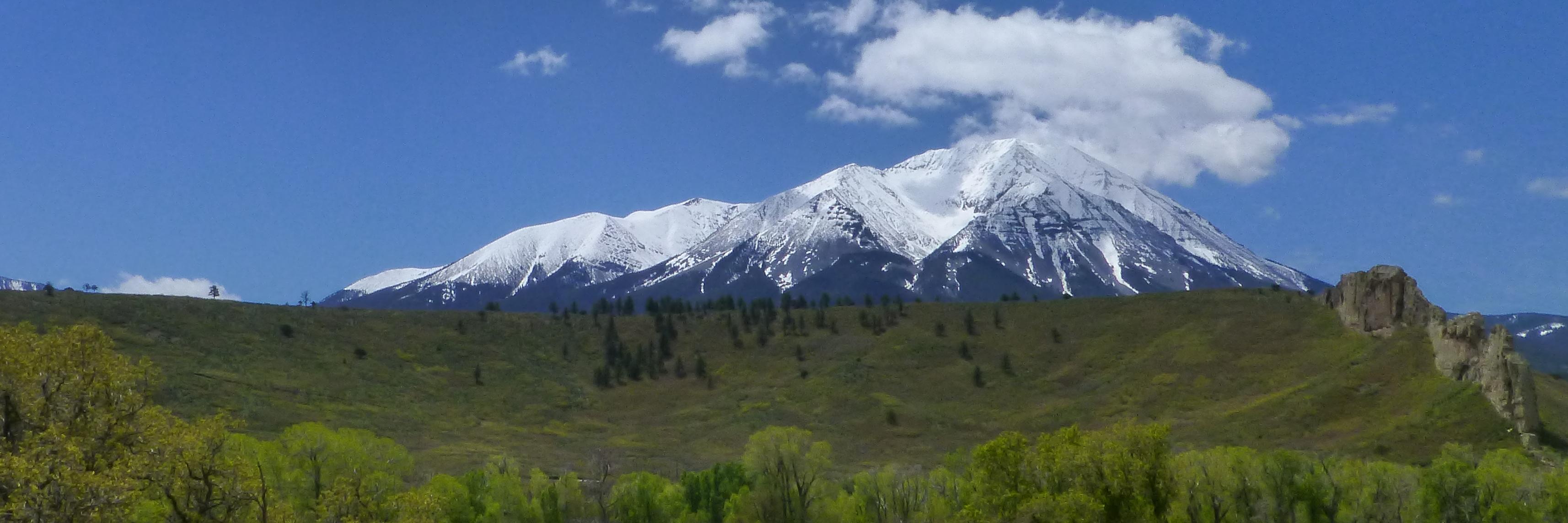 Brian Rozinsky banner