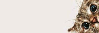 yisus_azteca's profile banner image