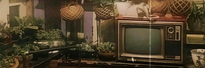faradibars's profile banner image
