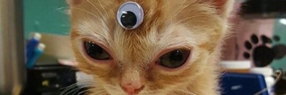 ronanlanktree's profile banner image
