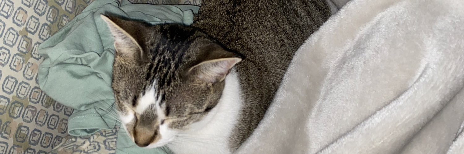 auklie's profile banner image