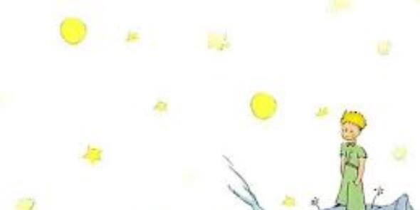 BerrinSolak's profile banner image