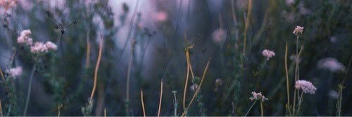 Aralouul's profile banner image