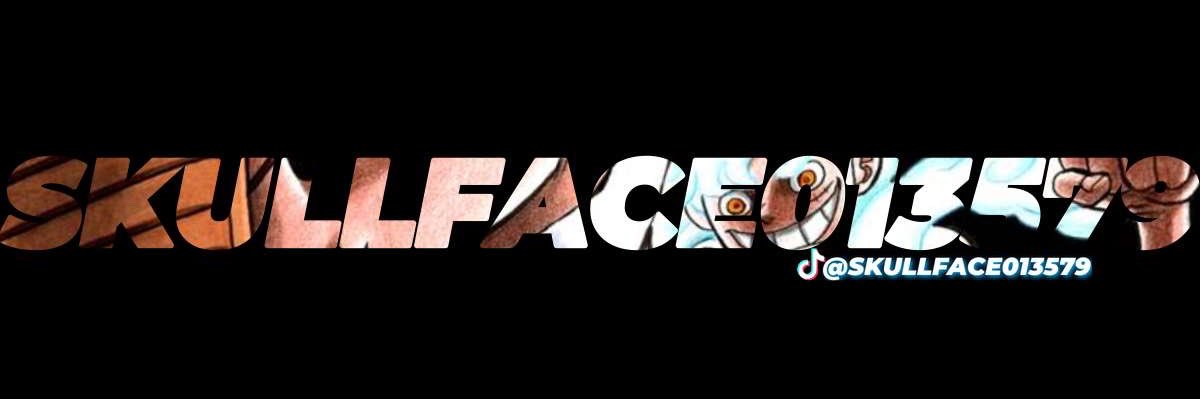 Skullface013579's profile banner image