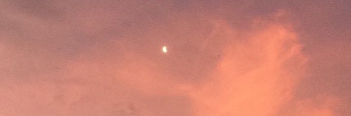 sunlightkookie's profile banner image