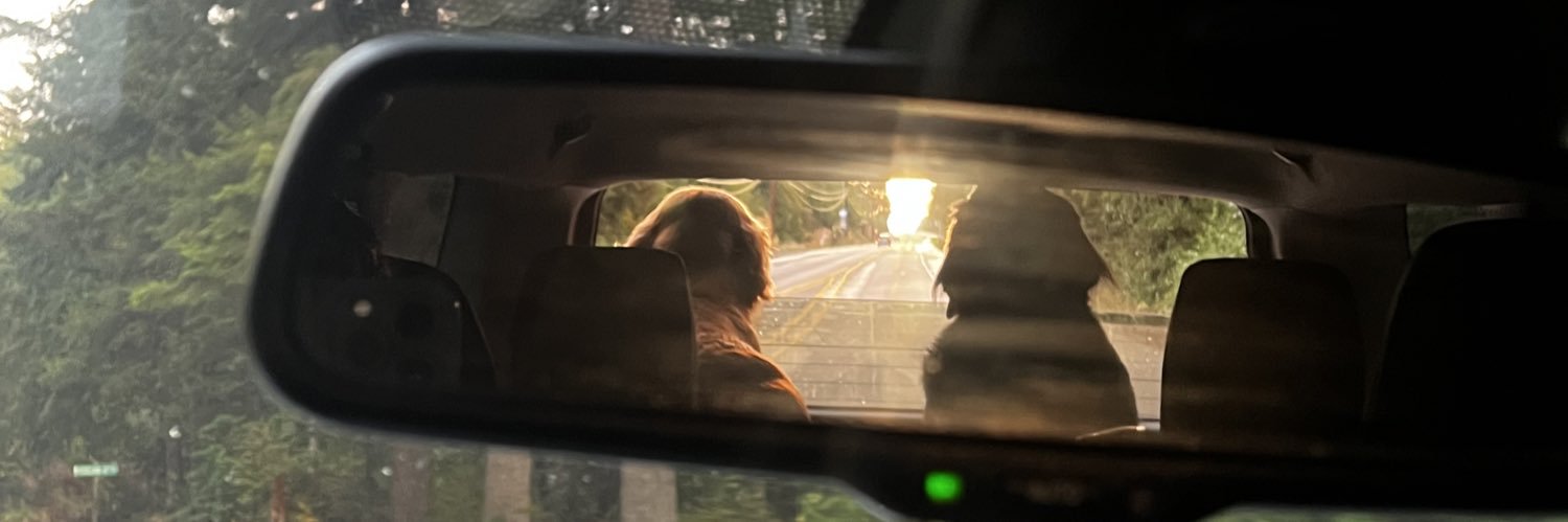 sᴇʟᴇɴᴀ banner