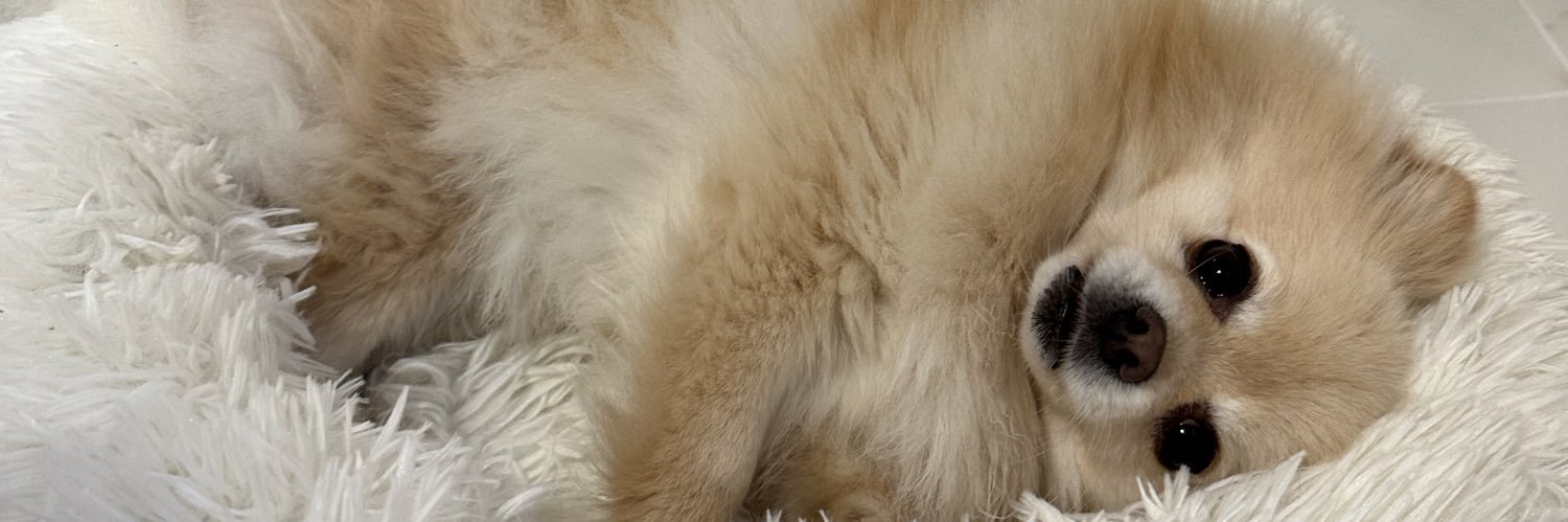 Yennisdeb's profile banner image