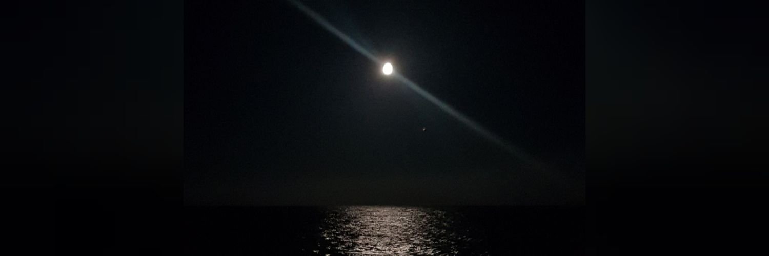 İlayda / PUKKi 🐬 banner