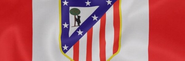 sajaenes Profile Banner