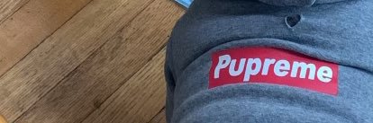 phoen1xtrite's profile banner image