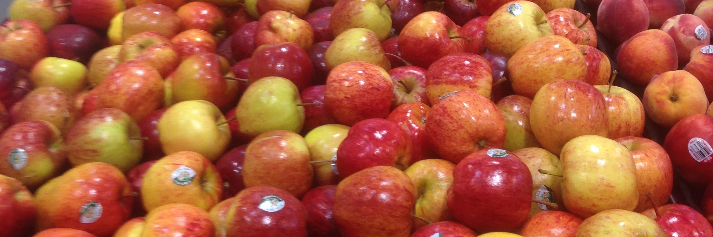 Fruit Growers Tas banner