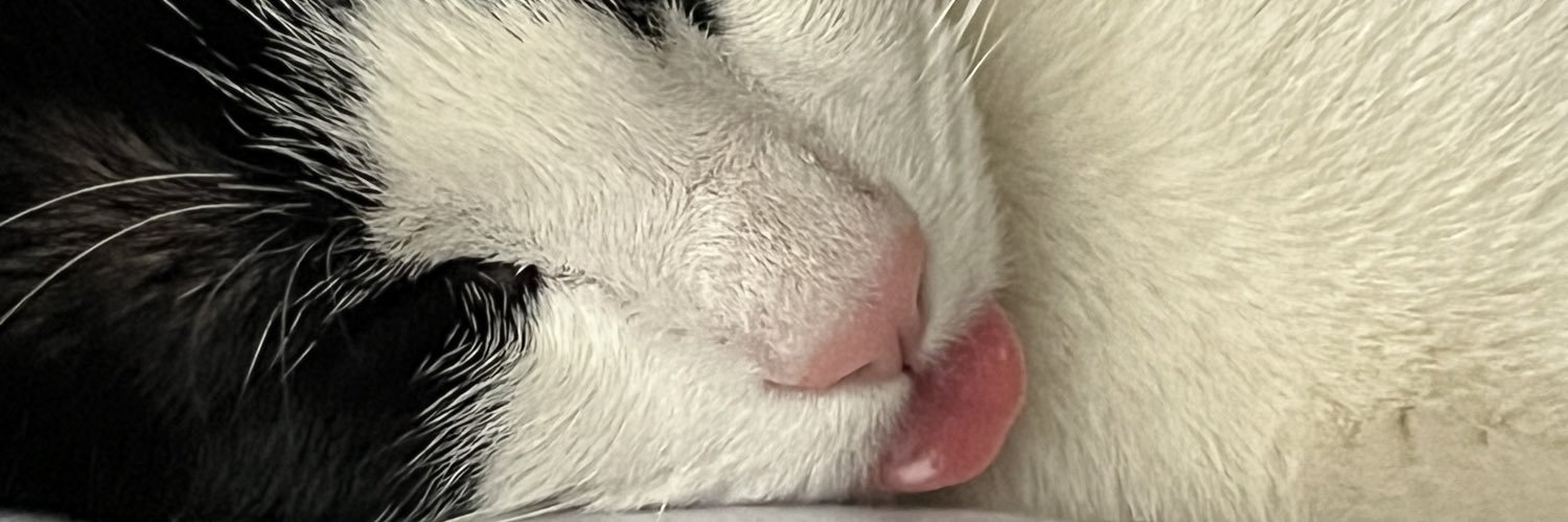 ruben_ems's profile banner image