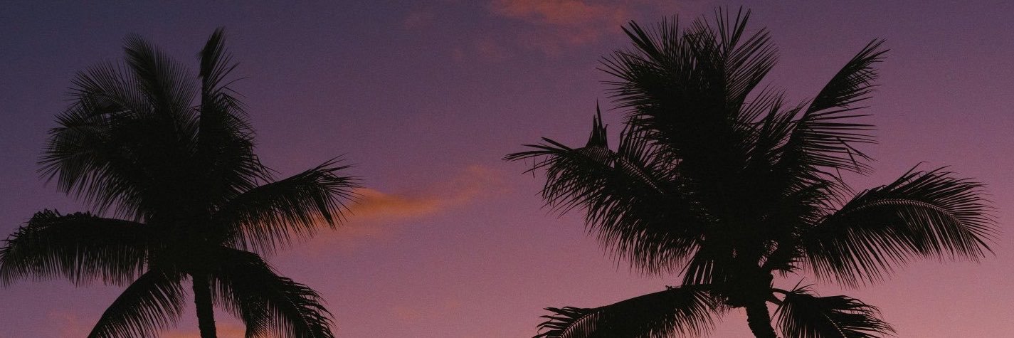 NoraDavis6h's profile banner image