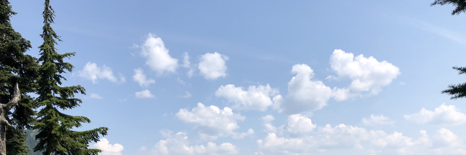 bjm8201's profile banner image