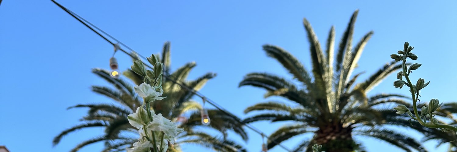 Bmillalite's profile banner image