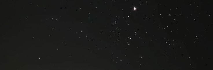 🐾 banner