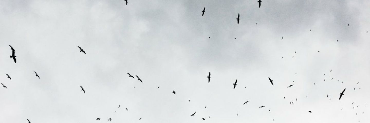 Uronder122's profile banner image