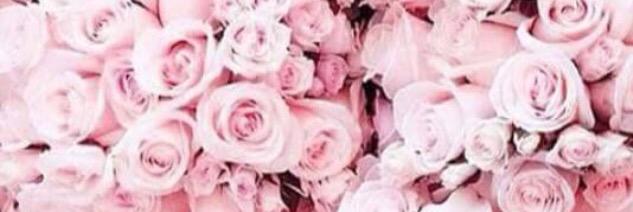 Lau_1217's profile banner image