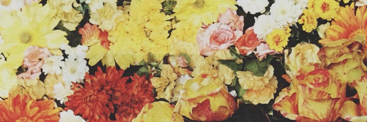 tinydiamondband's profile banner image
