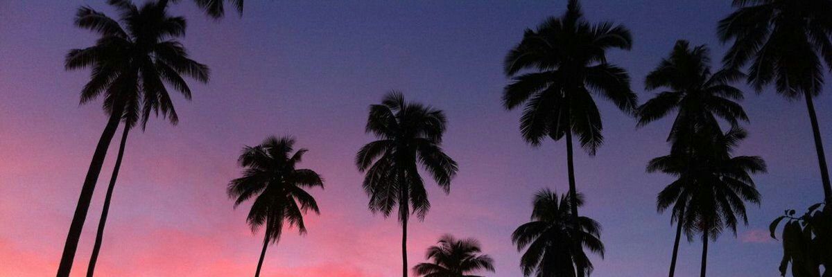 crms_ella's profile banner image