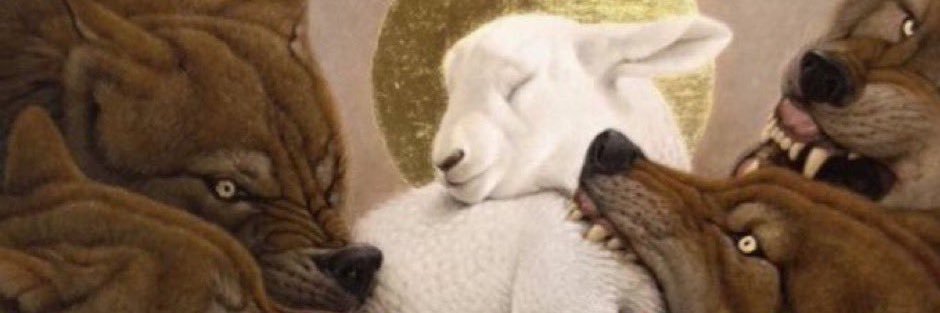 bibaboy666's profile banner image