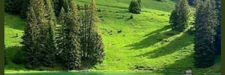 miladriz84's profile banner image