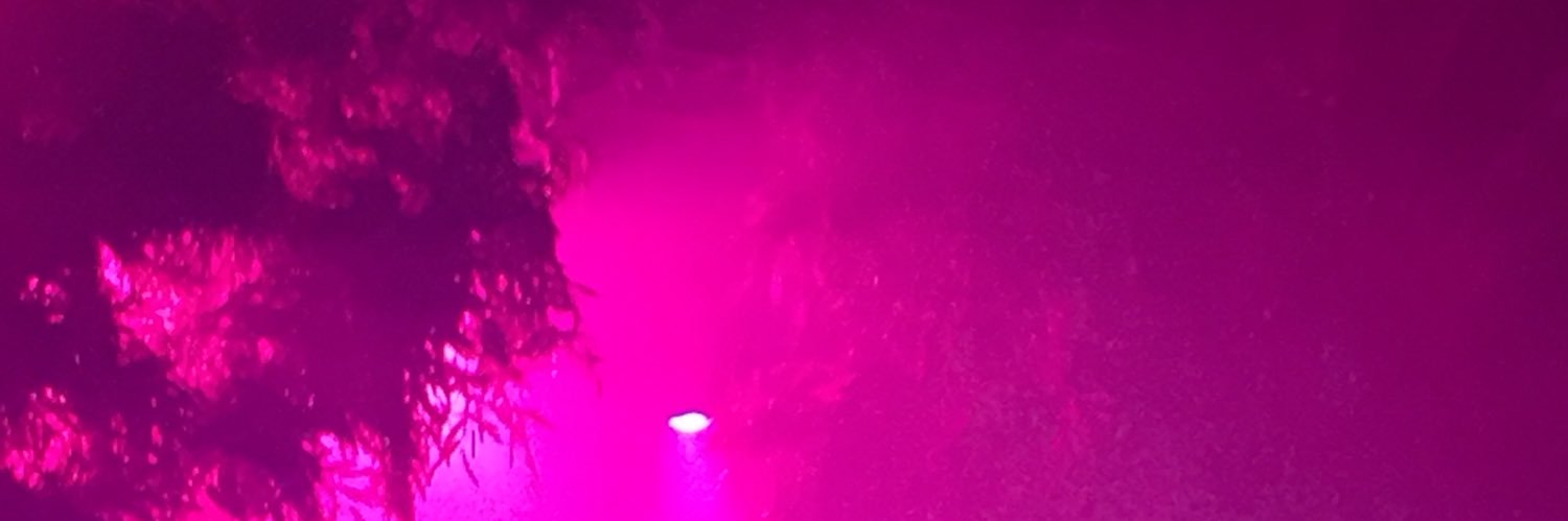 _strdust's profile banner image